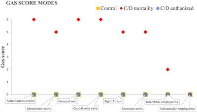 Decompressive Pathology in Cetaceans Based on an Experimental Pathological Model